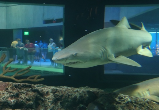 Baltimore Aquarium 